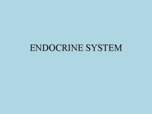 ENDOCRINE SYSTEM What system does the endocrine system