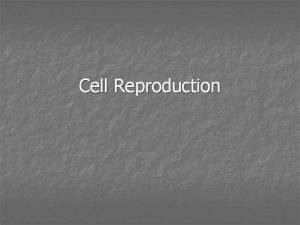 Cell Reproduction Cell Reproduction n n All cells