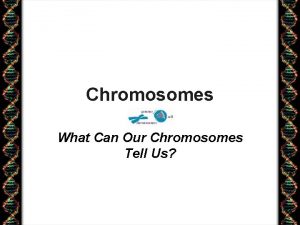 Chromosomes What Can Our Chromosomes Tell Us What