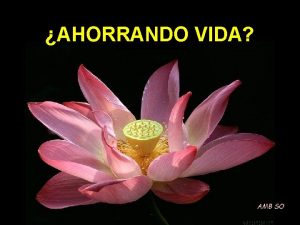 AHORRANDO VIDA AMB SO Nos acostumbramos a vivir