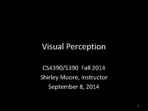 Visual Perception CS 43905390 Fall 2014 Shirley Moore