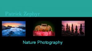 Patrick Zephyr Nature Photography Biography and Inspirations Biography
