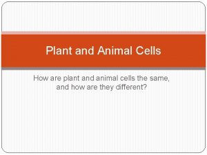Plant and Animal Cells How are plant and