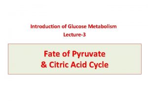 Introduction of Glucose Metabolism Lecture3 Fate of Pyruvate