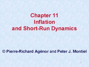 Chapter 11 Inflation and ShortRun Dynamics PierreRichard Agnor