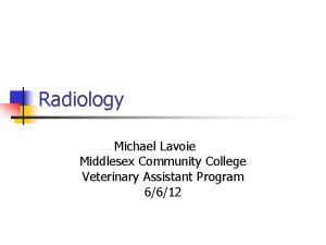 Radiology Michael Lavoie Middlesex Community College Veterinary Assistant