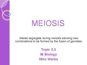 MEIOSIS Alleles segregate during meiosis allowing new combinations