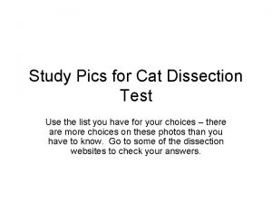 Study Pics for Cat Dissection Test Use the