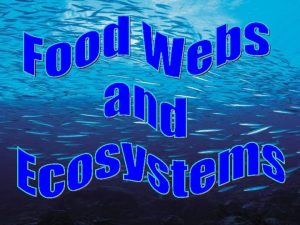 Ecosystems All ecosystems contain many food chains Each