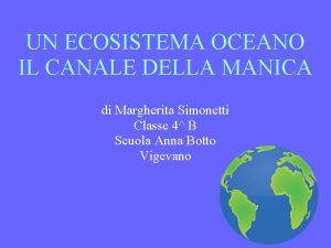 UN ECOSISTEMA OCEANO IL CANALE DELLA MANICA di