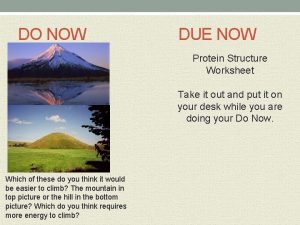DO NOW DUE NOW Protein Structure Worksheet Take