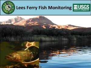 Lees Ferry Fish Monitoring Lees Ferry Monitoring How