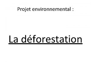 Projet environnemental La dforestation Cest plus de 80000