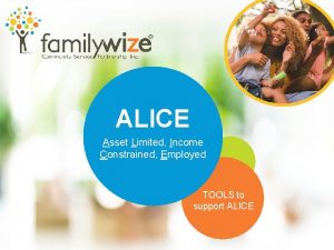 ALICE Asset Limited Income Constrained Employed TOOLS to