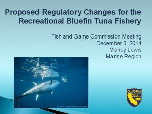 Proposed Regulatory Changes for the Recreational Bluefin Tuna