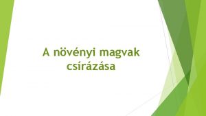 A nvnyi magvak csrzsa TINAPL A csrzs az