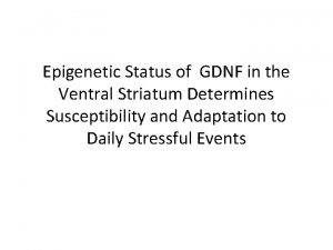 Epigenetic Status of GDNF in the Ventral Striatum