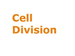 Cell Division Is Bigger Really Better Do bigger