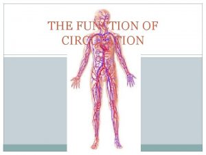 THE FUNCTION OF CIRCULATION IMPORTANT TERMS Pulmonary artery