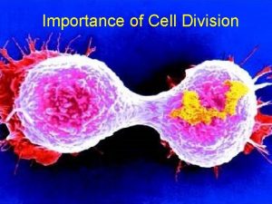Importance of Cell Division Importance of Cell Division