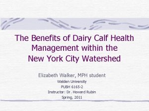 The Benefits of Dairy Calf Health Management within