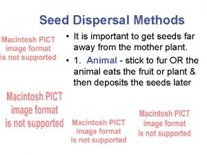 Seed Dispersal Methods It is important to get