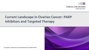 Current Landscape in Ovarian Cancer PARP Inhibitors and