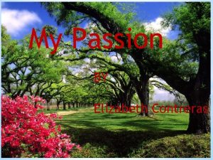 My Passion BY Elizabeth Contreras Embroidery What is