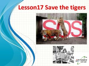 Lesson 17 Save the tigers century 100 years