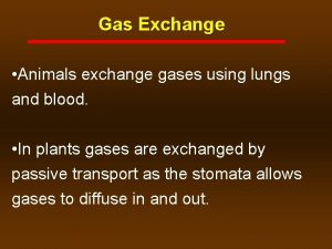 Gas Exchange Animals exchange gases using lungs and