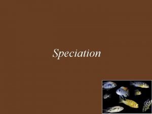 Speciation Speciation Key Concepts Species Are Reproductively Isolated