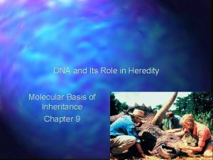 DNA and Its Role in Heredity Molecular Basis