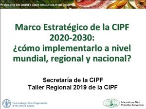 Marco Estratgico de la CIPF 2020 2030 cmo