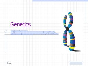Genetics Page Definitions DNA Heterozygous Chromosome Homozygous Allele