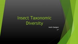 Insect Taxonomic Diversity Austin Speigner 2 nd Insect