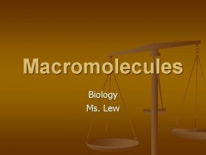 Macromolecules Biology Ms Lew Vocabulary Polymer n Monomer