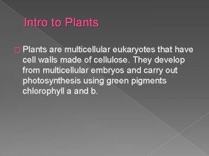 Intro to Plants Plants are multicellular eukaryotes that