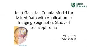 Joint Gaussian Copula Model for Mixed Data with