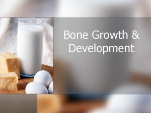 Bone Growth Development Types of Bone Cells Osteocyte