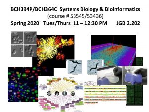 BCH 394 PBCH 364 C Systems Biology Bioinformatics