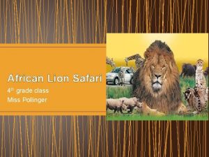 African Lion Safari 4 th grade class Miss