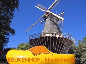 KEUKENHOF Niederlande Nkolik slov o tto slavn zahrad