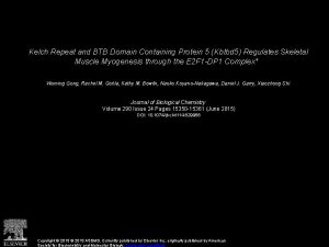 Kelch Repeat and BTB Domain Containing Protein 5