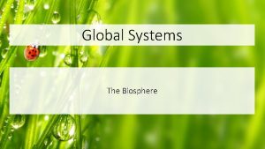 Global Systems The Biosphere The Biosphere Earths life