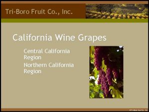 TriBoro Fruit Co Inc California Wine Grapes Central