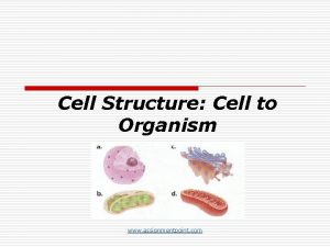 Cell Structure Cell to Organism www assignmentpoint com