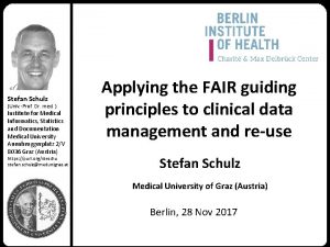 Stefan Schulz Univ Prof Dr med Institute for