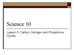 Science 10 Lesson 5 Carbon Nitrogen and Phosphorus