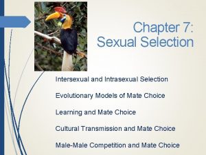 Chapter 7 Sexual Selection Intersexual and Intrasexual Selection