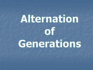 Alternation of Generations Take 5 32212 n n